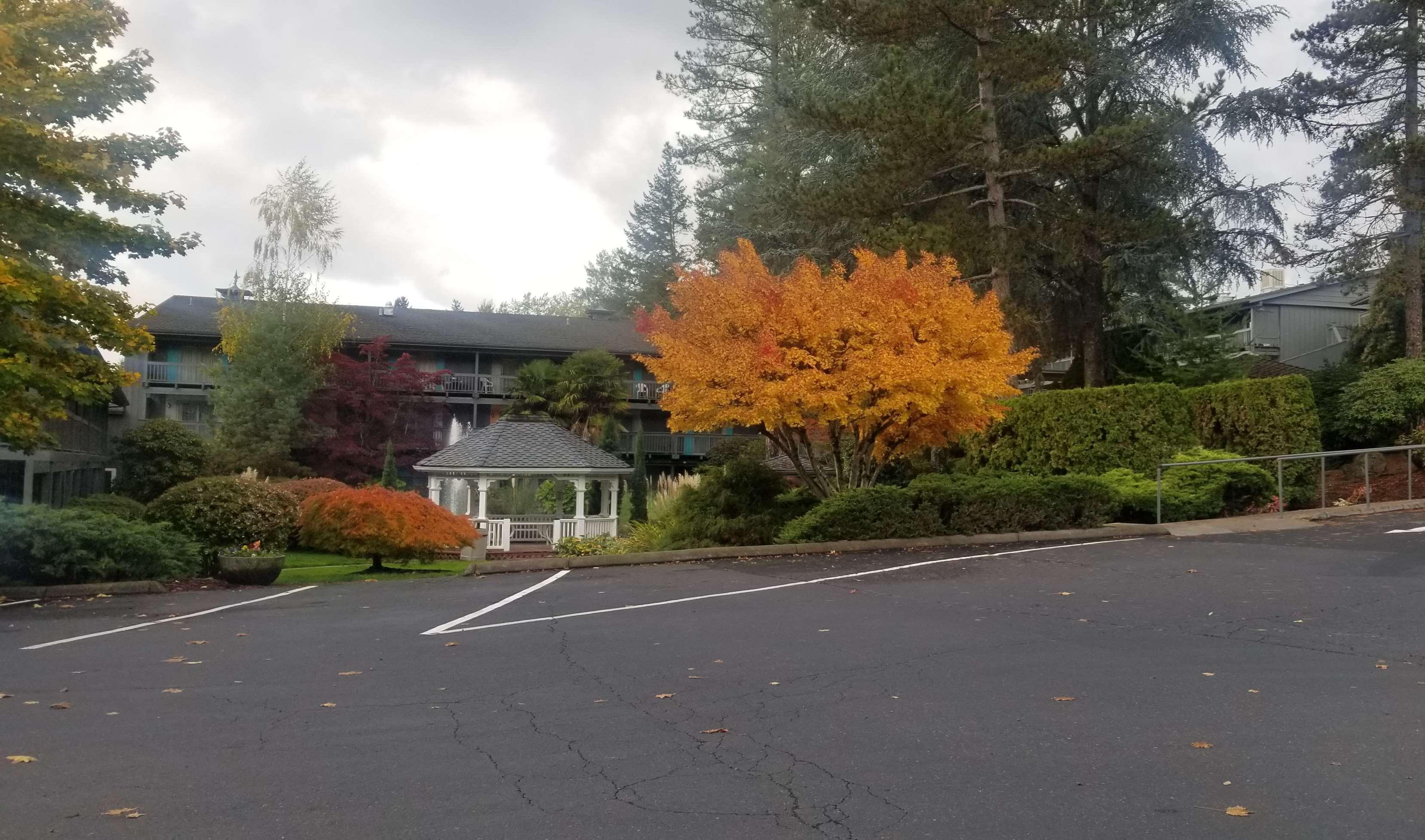 Best Western Portland West Beaverton Exteriör bild